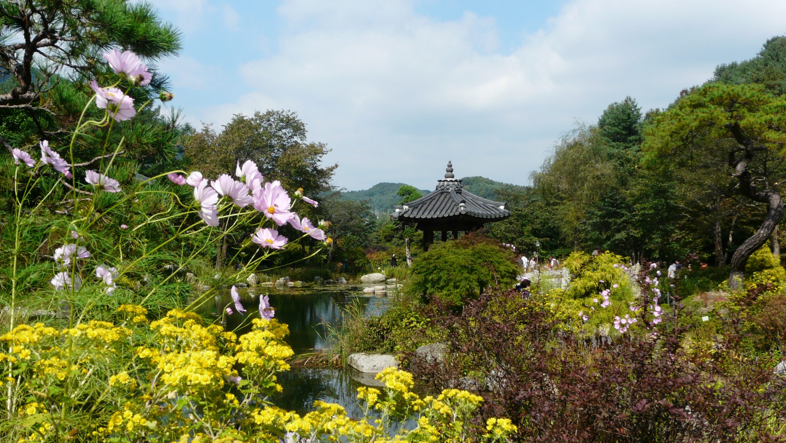 The garden of Morning calm