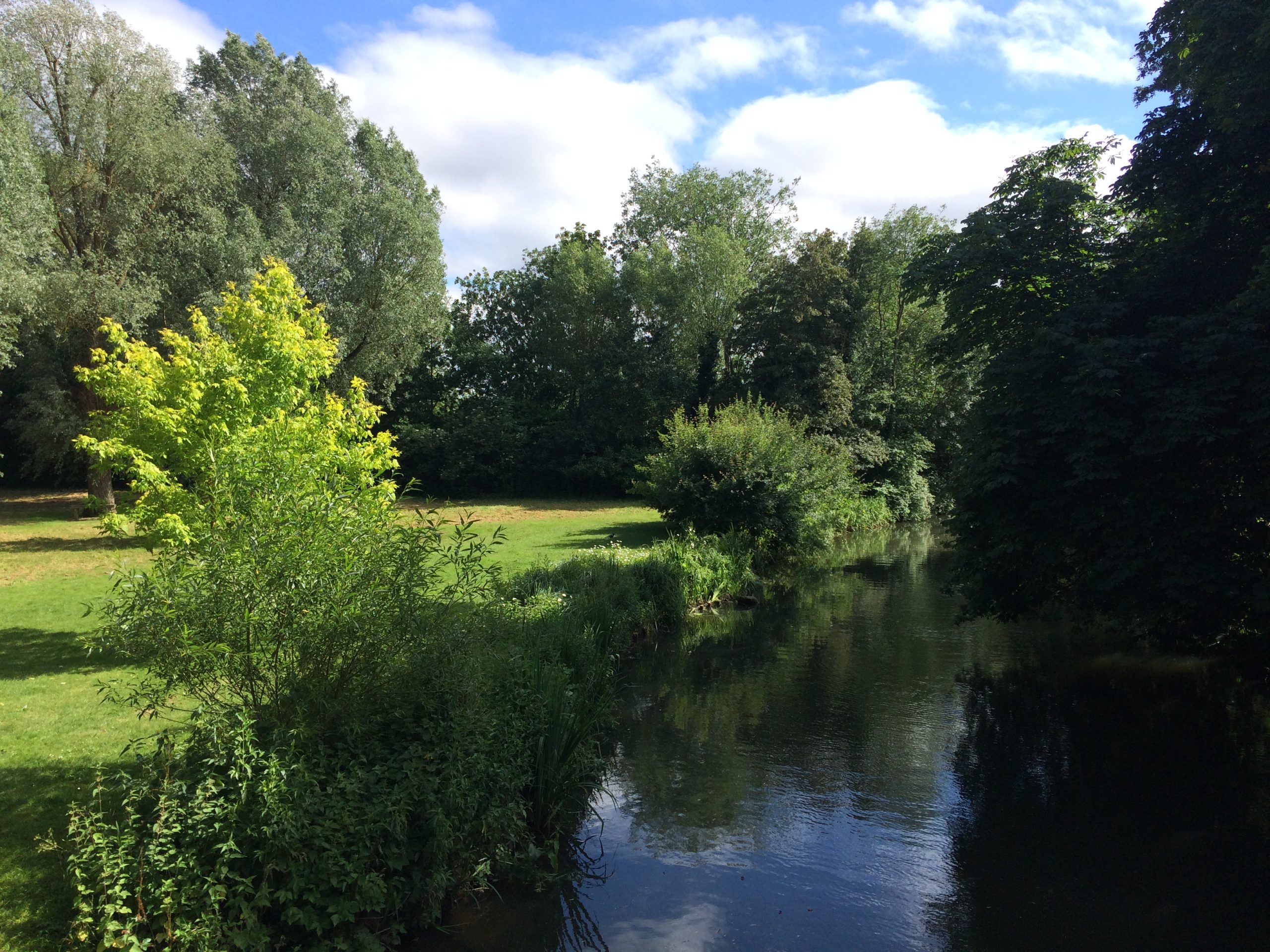 walking path alongside a small river