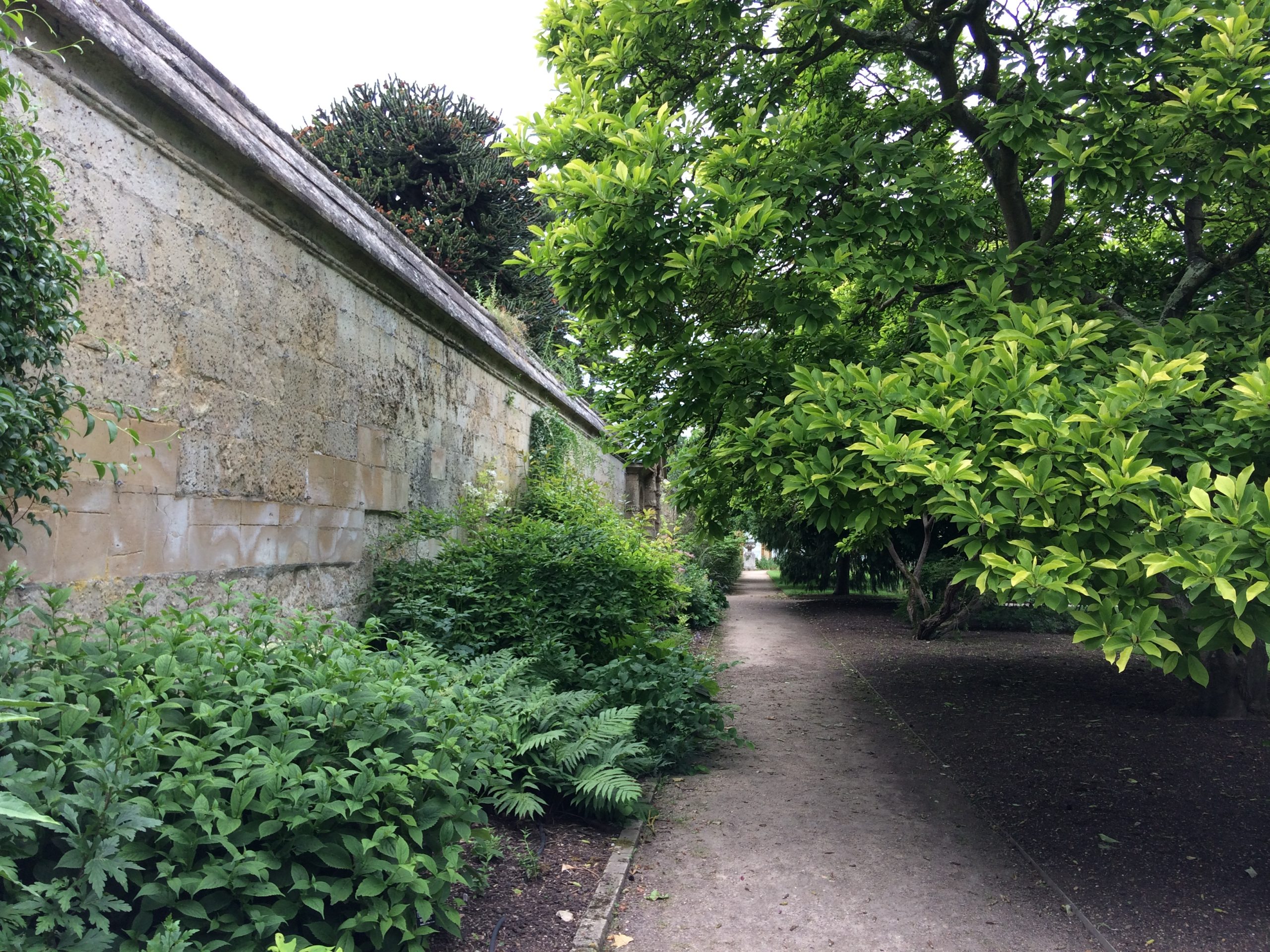 garden with path along stone wall