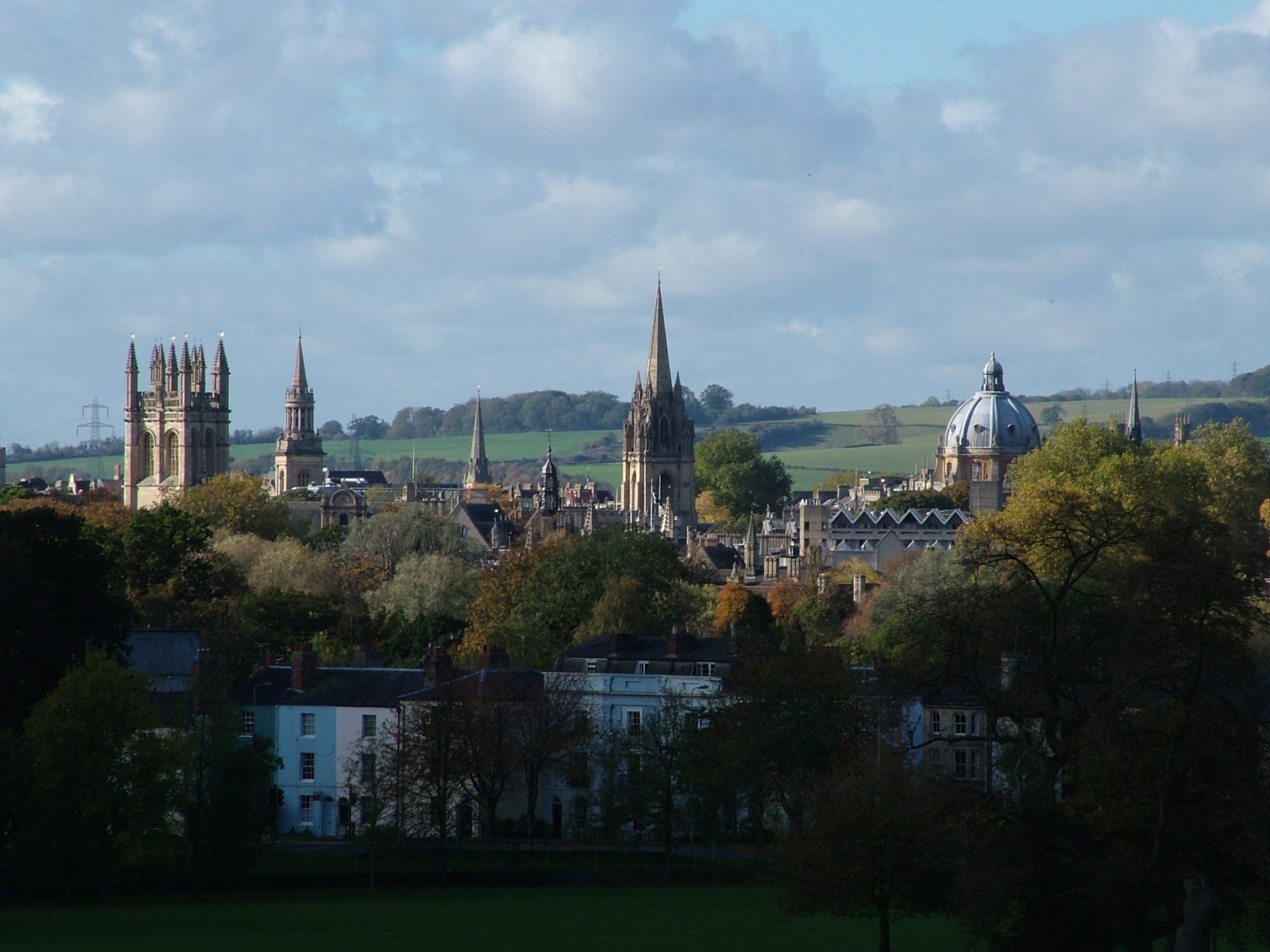 buildings peeking through the tops of trees