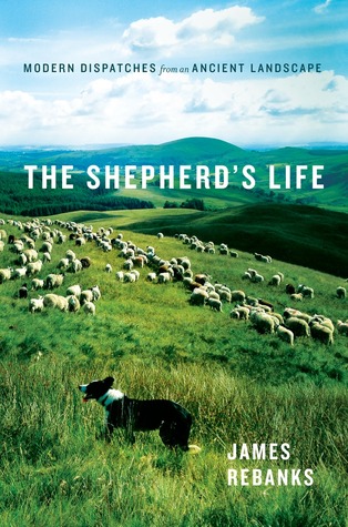 shepherds